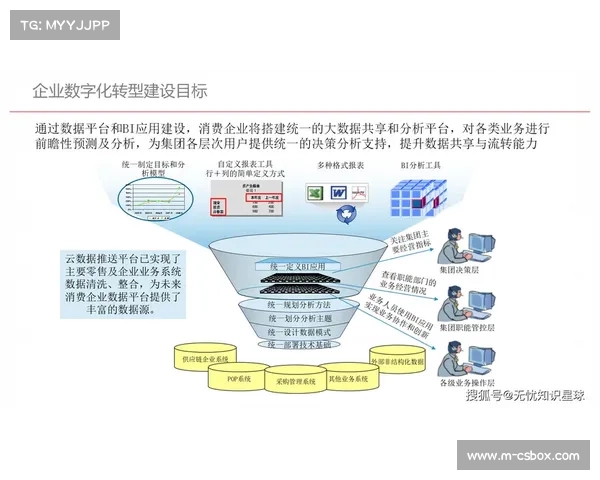 高保真素材库正在体系建设期数字化 延长了体育版权内容的商业周期