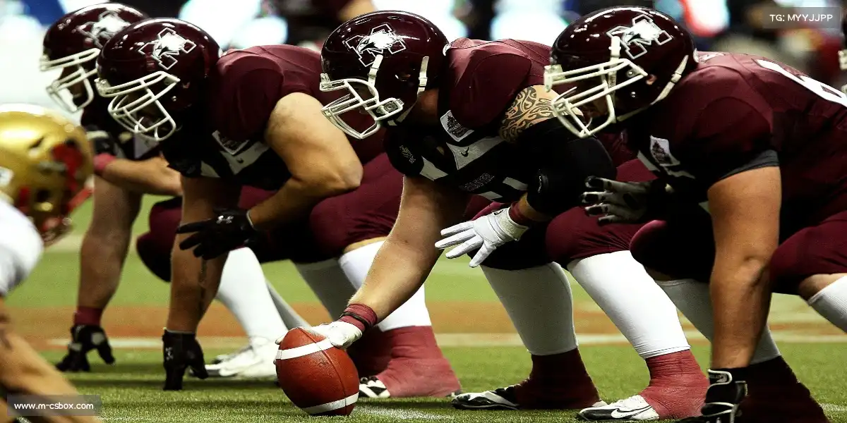 开箱网——肌肉的线条,书写力量的十四行诗。🎇 🎇